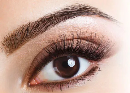 eyelash-services A close-up of a womans eye with long, thick eyelashes, well-groomed eyebrow, and subtle brown and gold eyeshadow makeup. The skin around the eye is smooth and evenly toned.